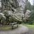 Spacious Evergreen View One Bedroom Apartment 11 thumbnail