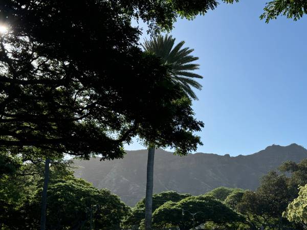 $1,499 / 1br - Private Pet Friendly Room in Shared House (Kapahulu)63686673420673120