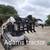 BRUSH GRAPPLE COMPACT TRACTOR SMALL SKID STEER 51 INCH WIDE 5 thumbnail