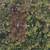 TWO neighboring 1/2 Acre lots (1 Acre total) available in Paisley, FL 6 thumbnail