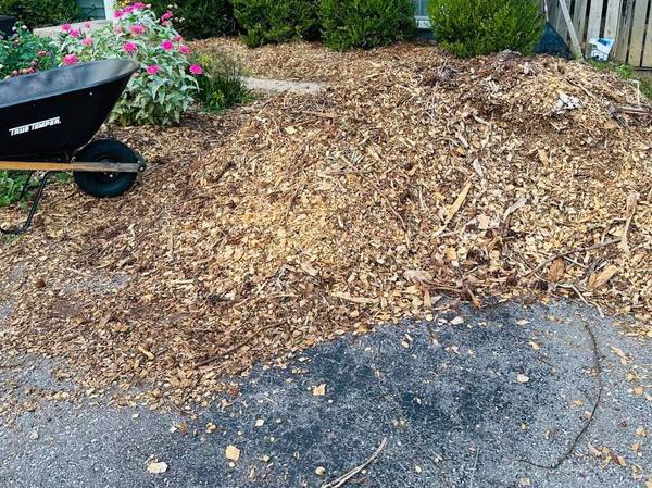 Free mulch 1