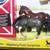 Breyer Stablemates 2 thumbnail