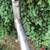 Trek 560 frame / fork - Reynolds 531 build ready 11 thumbnail