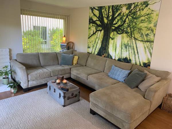 Beautiful Sectional Couch OBO 1