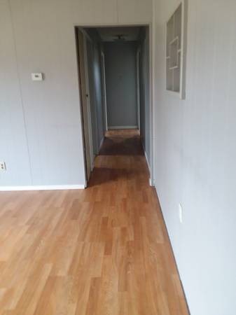$800 / 2br - House for rent 2 bed, one bath (Spruce)64037724397953122