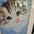Watercolors of cats etc. 1 thumbnail