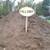 Free Infill Soil 2 thumbnail