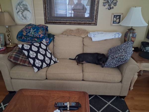 Sleeper sofa 1