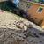 Junk Removal, Yard Cleanup & Concrete Removal Services 10 thumbnail