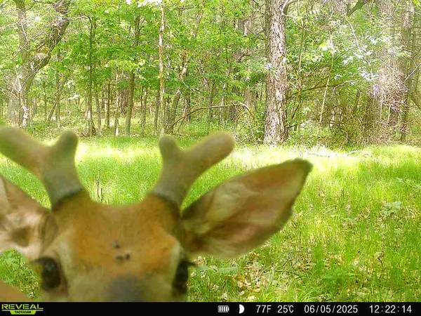$65,000 5 Acre Lot, Recreation Retreat, Marquette County, WI63406883139329122