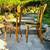 1930s Antique Bentwood Chairs Set of 2 6 thumbnail