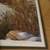 Artwork Prints Including Owen Gromme 8 thumbnail