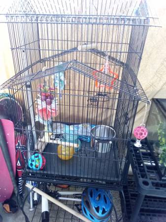 Bird cage and chameleon cage (Av)63829968297345120