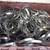 Stainless Steel Hose Clamps 5 thumbnail