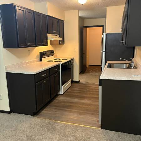 Beautiful Prime Location 1br Apt Home Natural Light Coon Rapids 1