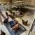 Hens /pullets $25. 2 thumbnail