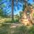 Billings Park home with character.  Leah Hollenbach RE/MAX Results 8 thumbnail