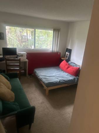 College student or working professional FEMALE Only 1