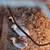 Guinea hens 2 thumbnail