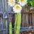San Pedro Cactus, Succulents, plants, Bird houses, Plant boxes & more 1 thumbnail