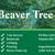 Angry Beaver Tree Removal Services 1 thumbnail