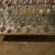 Worldwide Specimen Seashell Collection 3 thumbnail