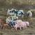 Pigs and Piglets 2 thumbnail