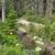 BENCHMARK RD (DOUBLE FALLS) FS LEASE CABIN 24 thumbnail