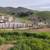 Tree service/landscaping/tractor service,Carmel valley valley,Salinas 9 thumbnail