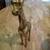 Brass Giraffe 3 thumbnail