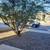 Lawn maintenance & Trash hauling/ junk removal( FREE Estimates!)(El paso) 9 thumbnail