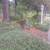 calmoperez yard work landscape 5 thumbnail