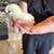 Chicks 1 thumbnail