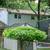 GARDENING 2026  LET'S MAKE YOUR GARDEN DREAMS COME TRUE 11 thumbnail