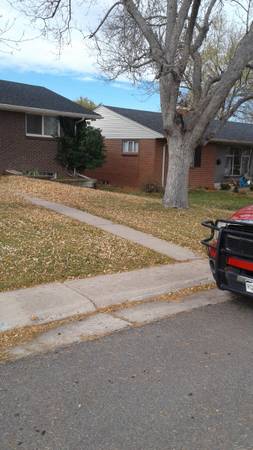 LEAF CLEAN UPS & GUTTERS 1