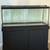 75 Gallon Fish Tank 1 thumbnail