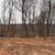 Vacant Lot on Wisconsin River 12 thumbnail