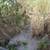 1/2 Acre Building Site: Plum City, Wisconsin 12 thumbnail