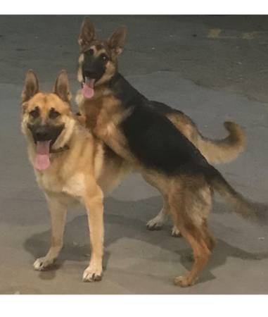 Traveling Companions Looking For a Place to Stay!  Interested? (Broomfield)63921242289026121