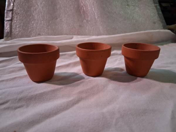 Minie flower pots 1