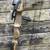 Darton USA Compound Bow & Easton Arrows 2 thumbnail