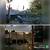 Tavia Direct LLC Local Construction Company 14 thumbnail