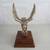 Large Vtg. Brass Eagle Trophy & Wood Base Signed Statue Sculpture 3 thumbnail