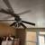 $250 Replace Ceiling fans and Light fixtures 4 thumbnail