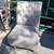 LOUNGE CHAIR 5 thumbnail