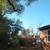 Bushes &Shrubs Shaping Some Tree pruning plus pressure washing 10 thumbnail