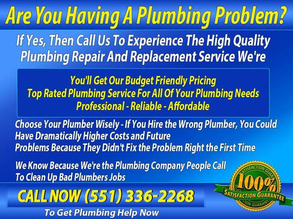 ✅PLUMBER - - - DONE LIKE YOU WANT - - CALL THE BEST - - FLUSH the REST 1