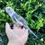 Cockatiel Cockatiel Tame Baby 5 thumbnail