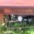 Kubota L225 Engine and other parts 2 thumbnail