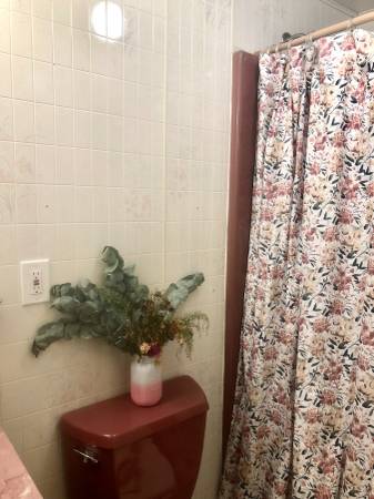 $895 / 1br - 850ft2 - Private 1st Floor of Quiet Mtn Home (Swann/E. Avl) (Swannanoa/East Avl (Swannanoa/East Avl)64029374094849124